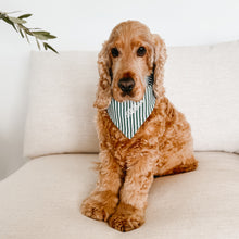 Load image into Gallery viewer, Candy Stripe Dog Bandana - Red or Green