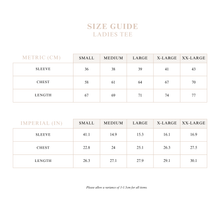 Load image into Gallery viewer, Ladies 'Hold Your Horses' Tee