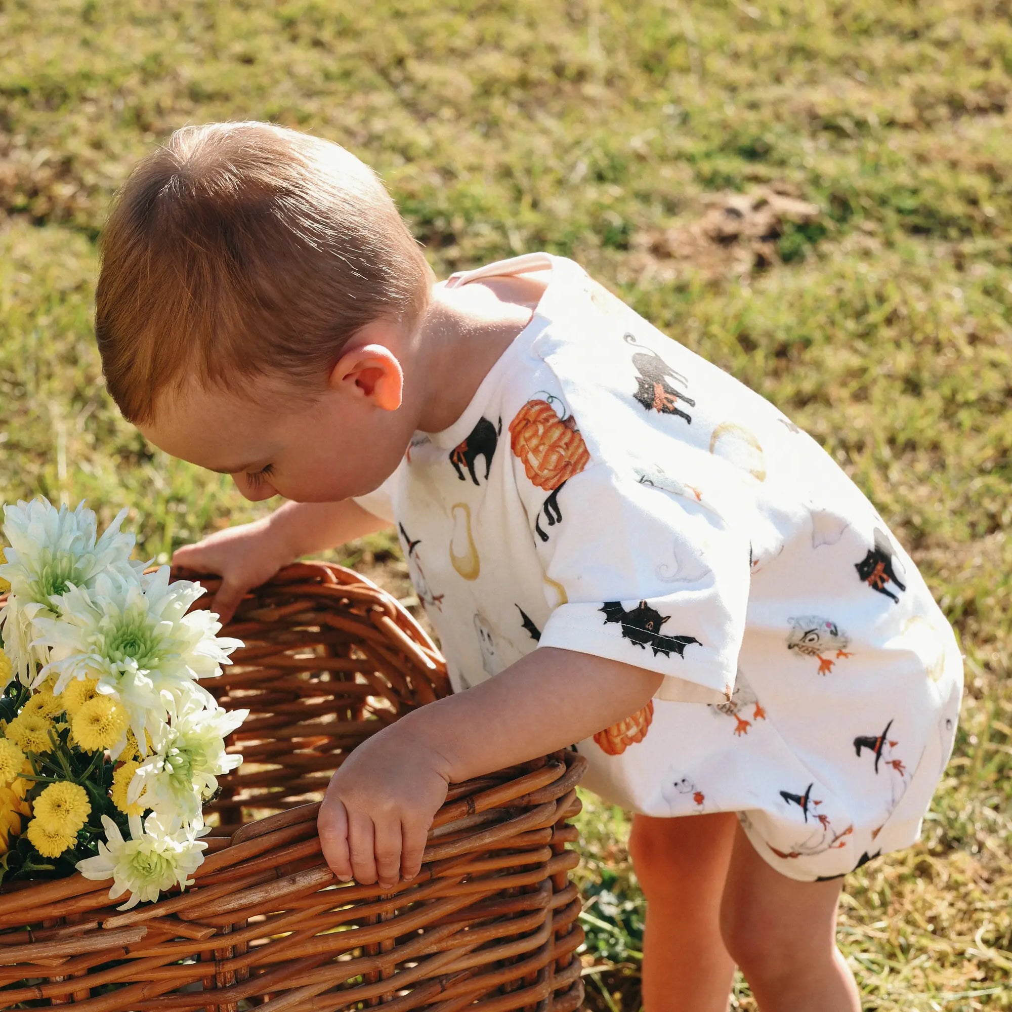 The Little Harvest Edit