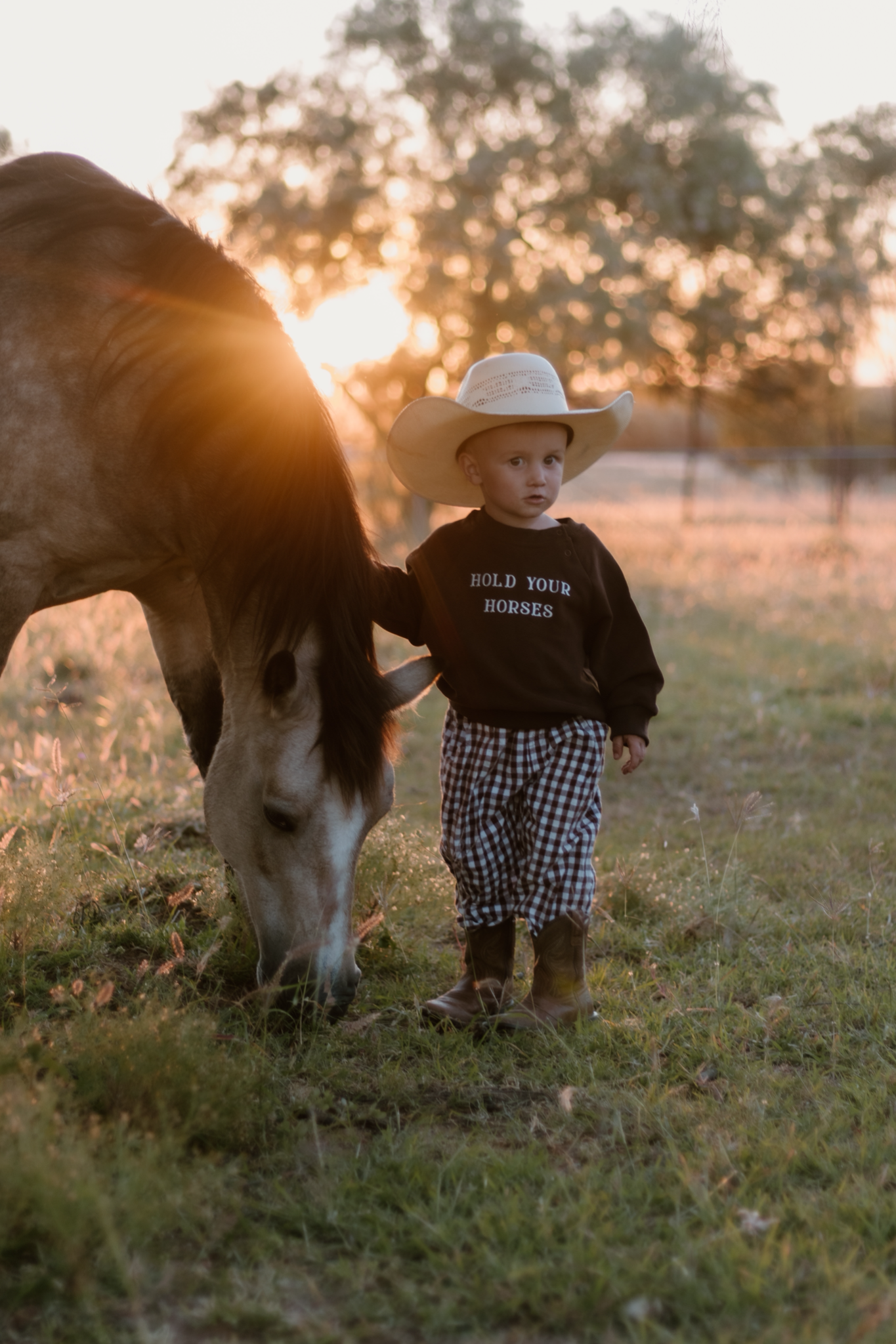 'Hold Your Horses' Crew Sweater - Espresso
