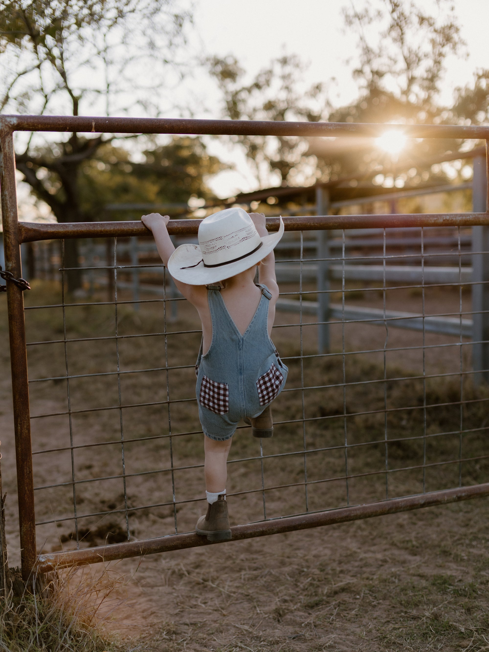 Hold Your Horses Denim Shortalls