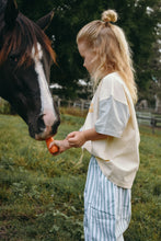 Load image into Gallery viewer, Kids Sage Stripe Pants