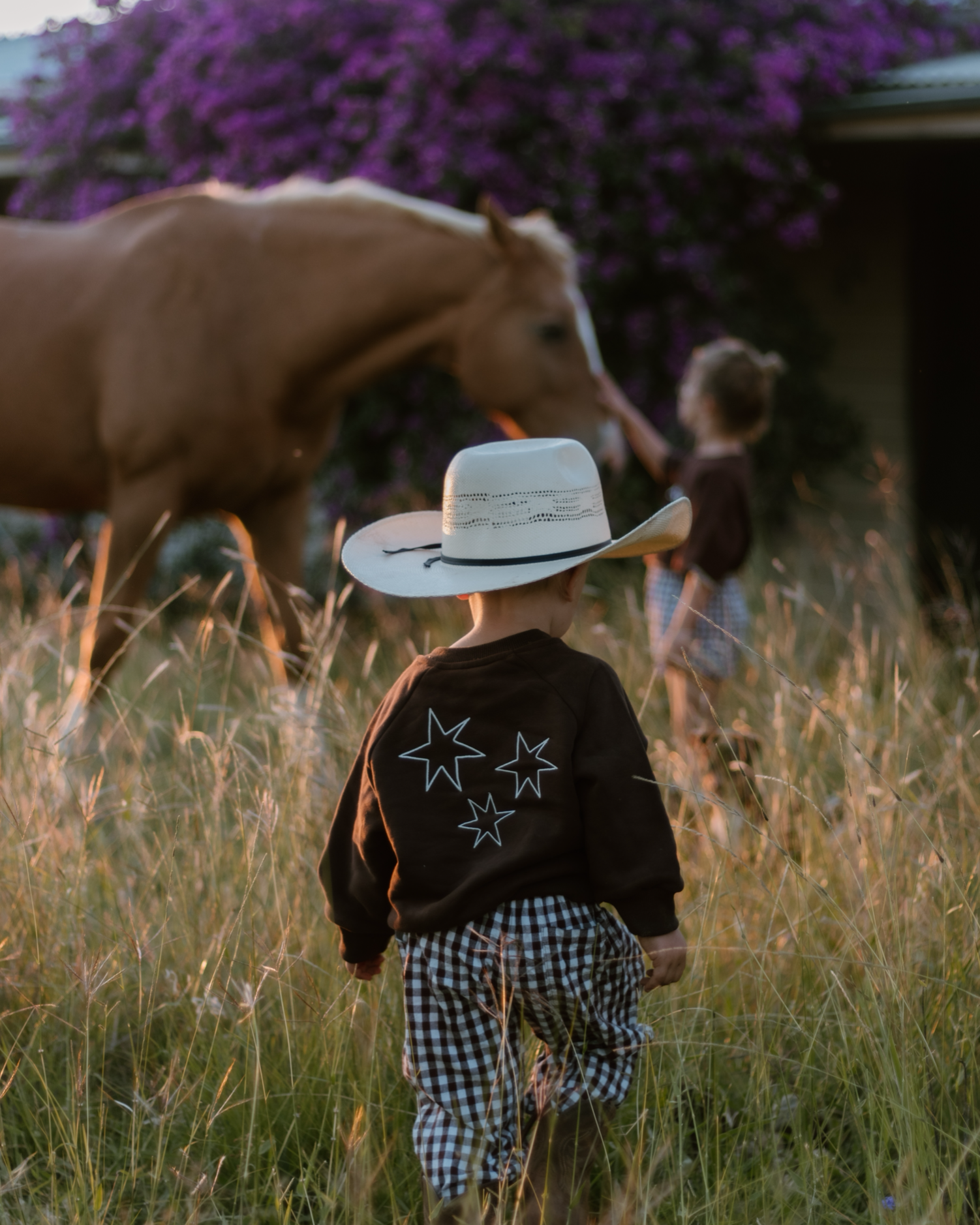 'Hold Your Horses' Crew Sweater - Espresso