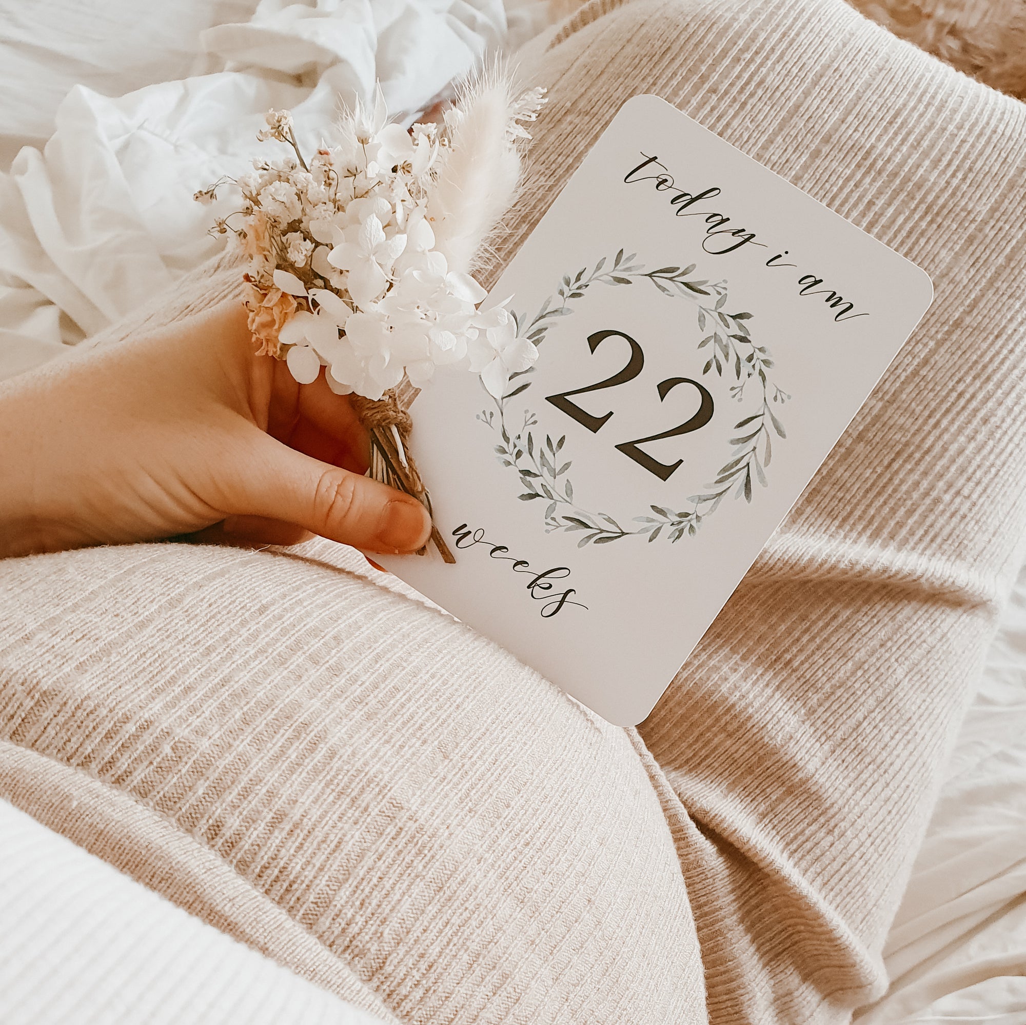 SALE Pregnancy Milestone Cards - Lush Collection