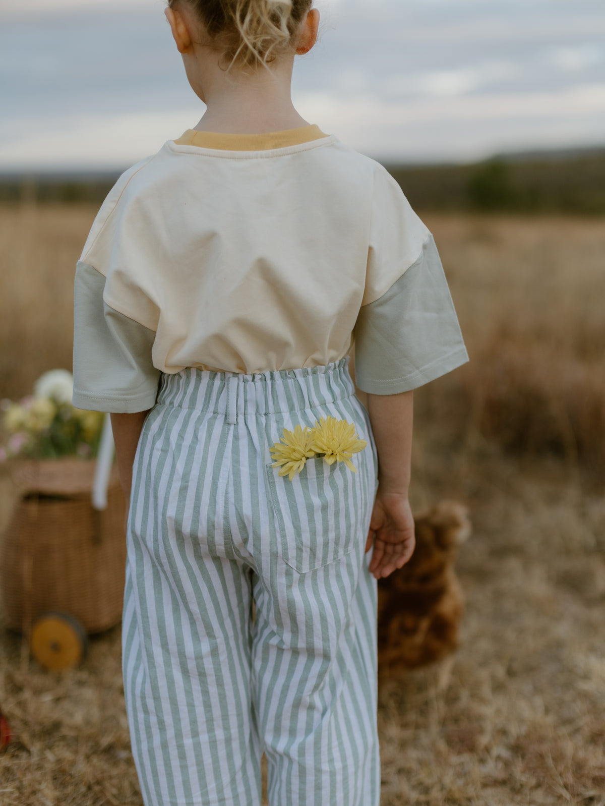 Kids Sage Stripe Pants