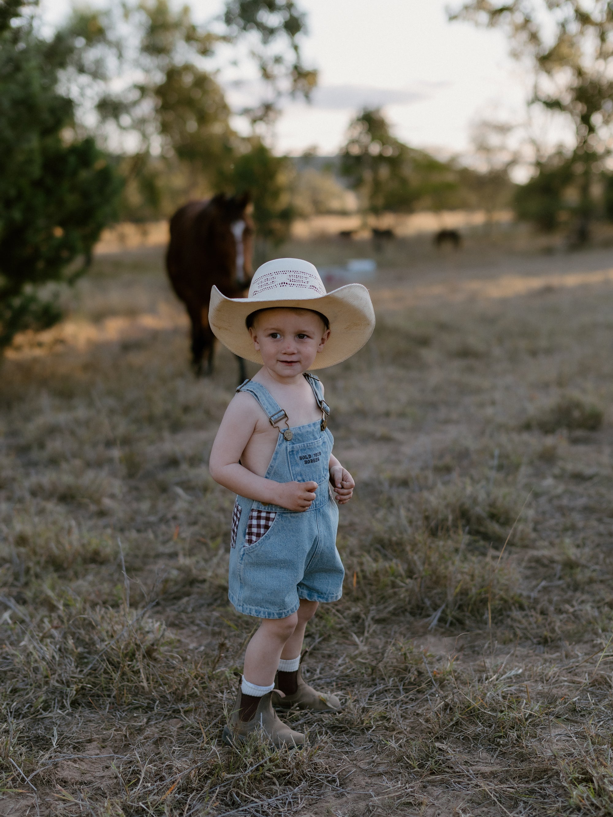 Hold Your Horses Denim Shortalls