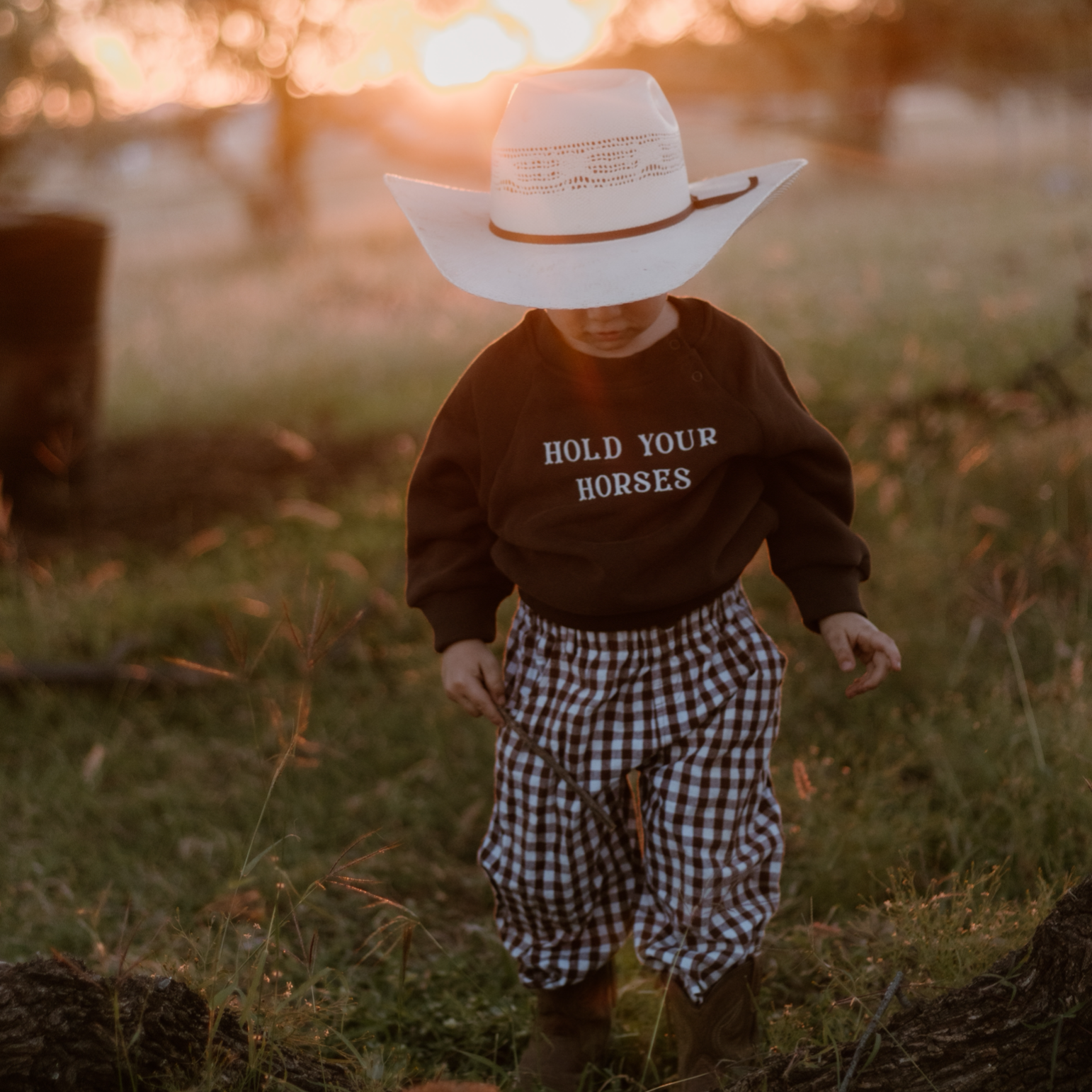 'Hold Your Horses' Crew Sweater - Espresso