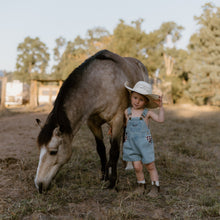 Load image into Gallery viewer, Hold Your Horses Denim Shortalls