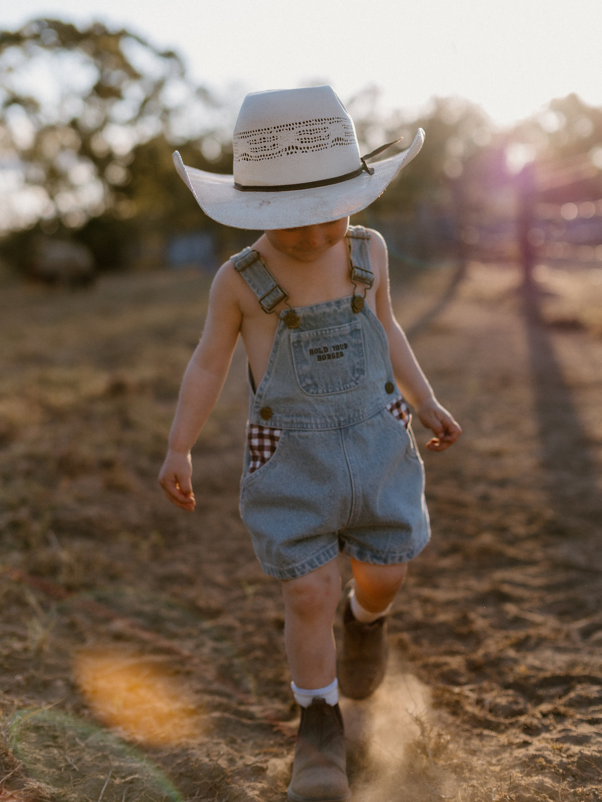 Hold Your Horses Denim Shortalls