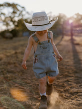 Load image into Gallery viewer, Hold Your Horses Denim Shortalls