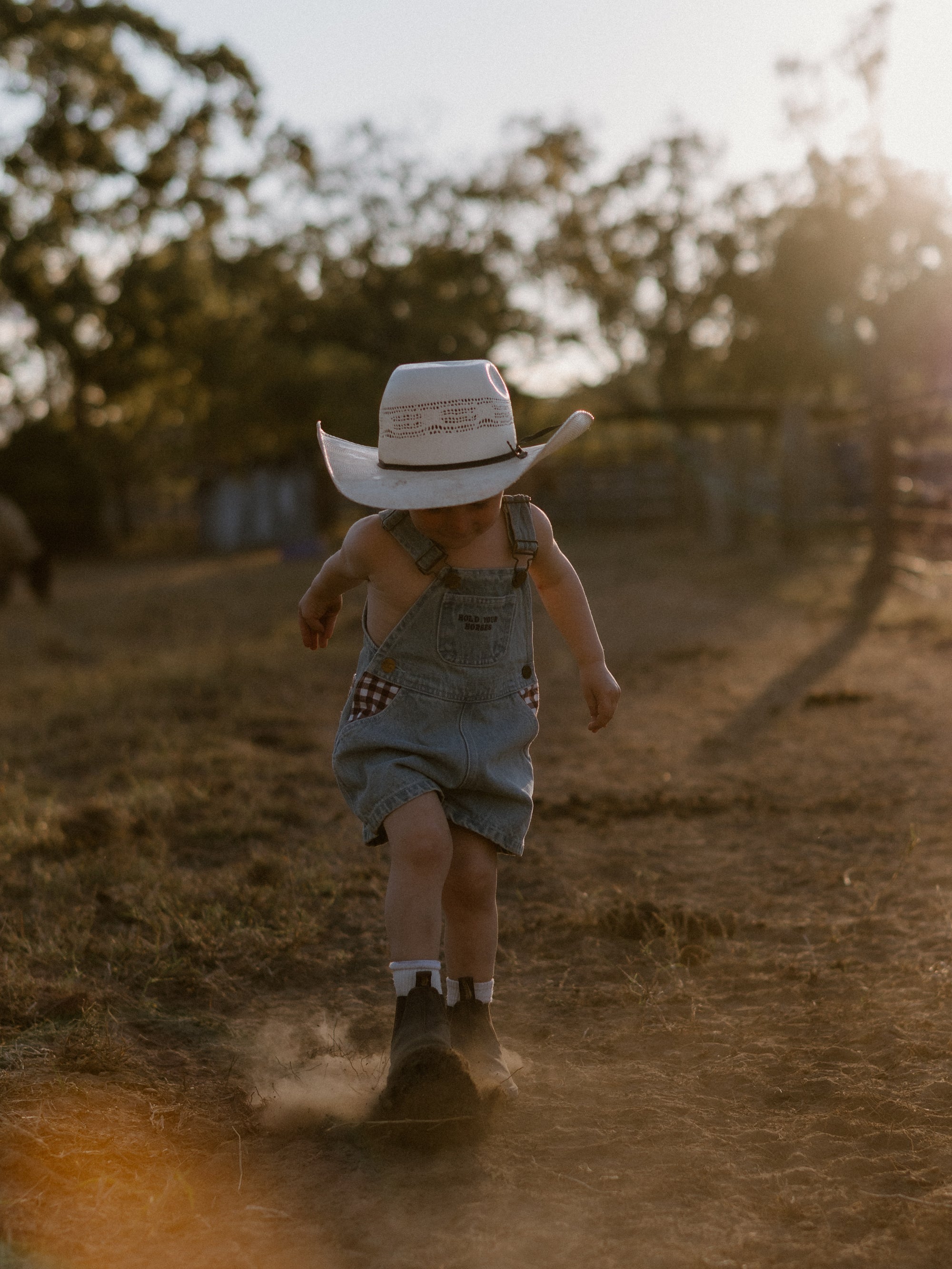 Hold Your Horses Denim Shortalls
