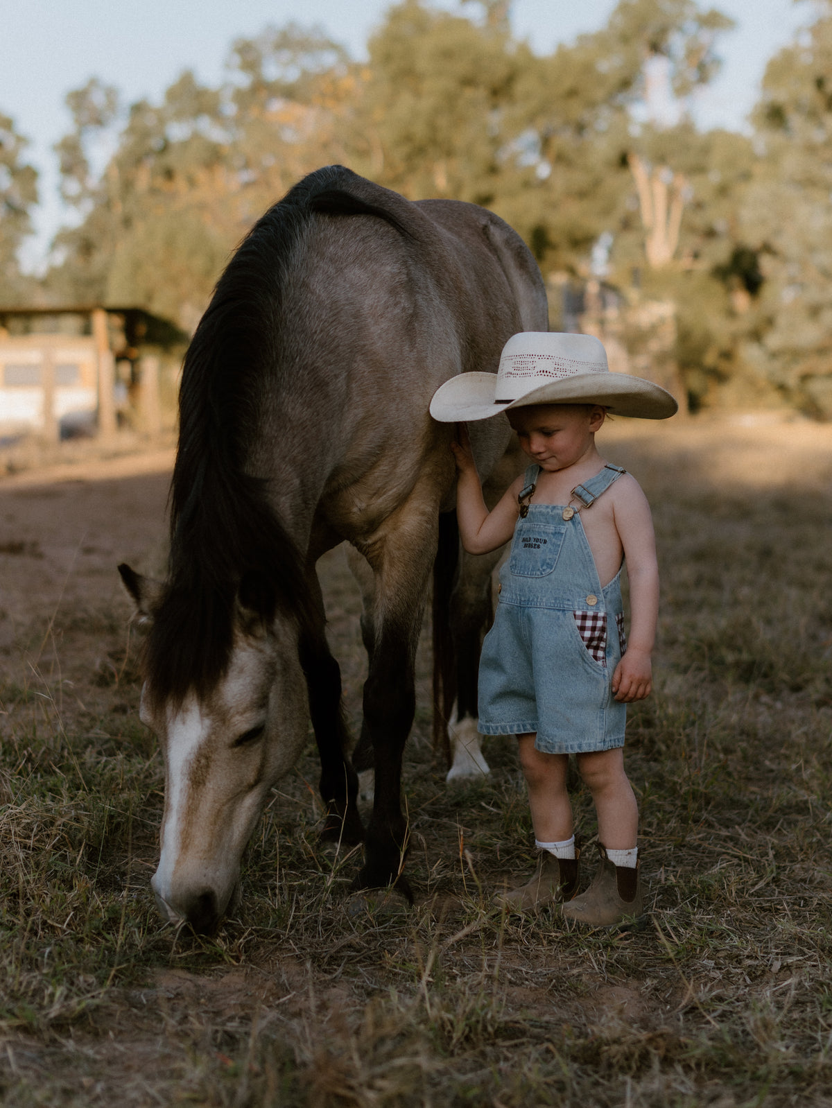 Hold Your Horses Denim Shortalls