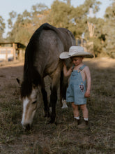 Load image into Gallery viewer, Hold Your Horses Denim Shortalls