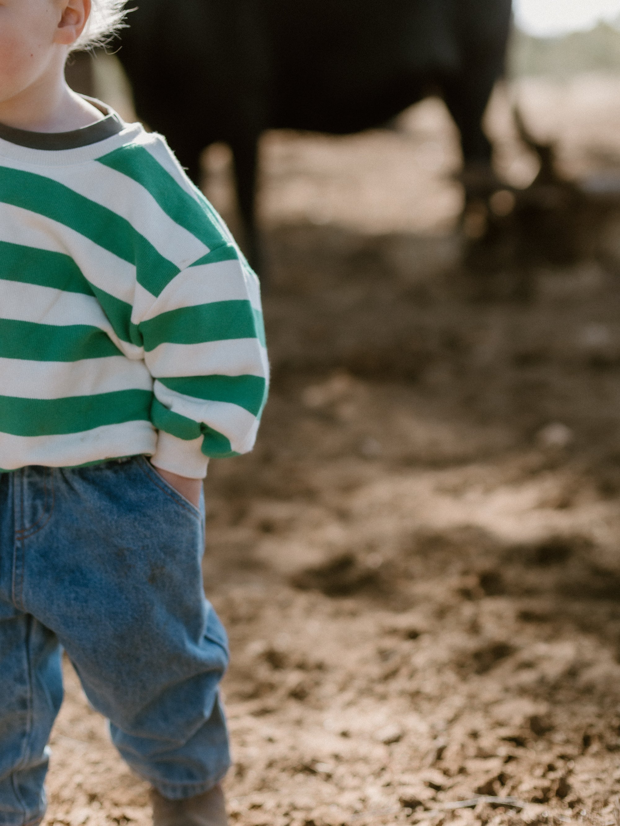 Clove Stripe Sweater
