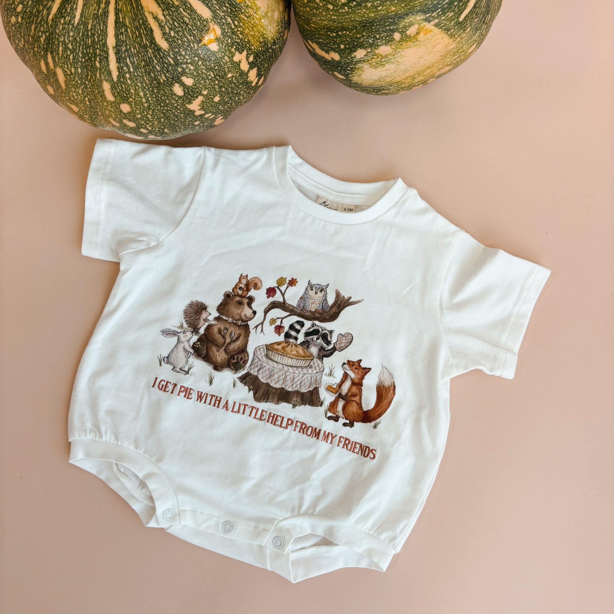 A white short-sleeve baby bodysuit with a cartoon autumn forest graphic and the text 'I GET PIE WITH A LITTLE HELP FROM MY FRIENDS' laid flat on a dusty pink background, with two decorative pumpkins at the top.