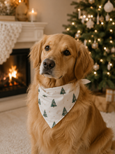 Load image into Gallery viewer, Christmas Dog Bandana - Forest Nights