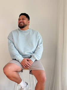 Men's Brown Stripe Shorts
