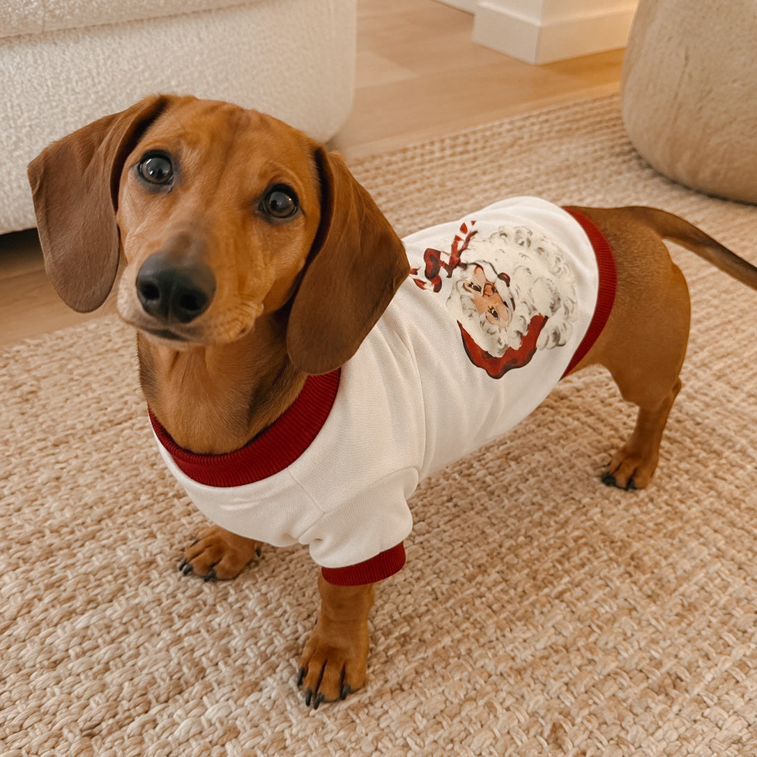 Vintage Santa Claus Dog’s Sweater