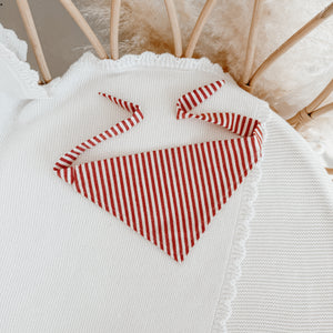 Candy Stripe Dog Bandana - Red or Green
