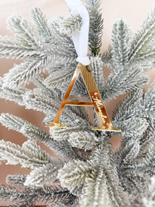 Letter Monogram Acrylic Bauble