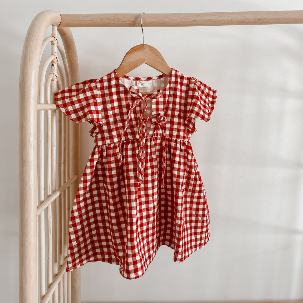 Red Gingham Dress