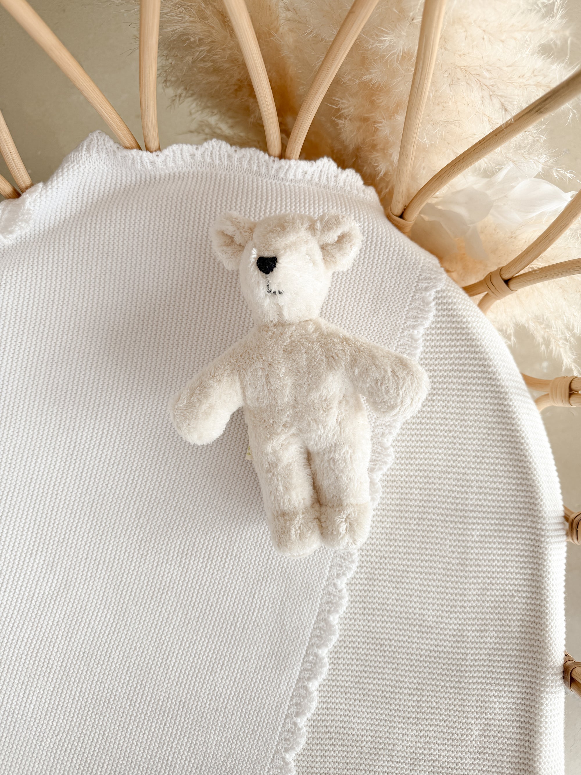 SENGER Animal Baby - Teddy Bear