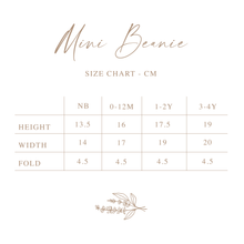 Load image into Gallery viewer, Chunky Knit Beanie - Pear