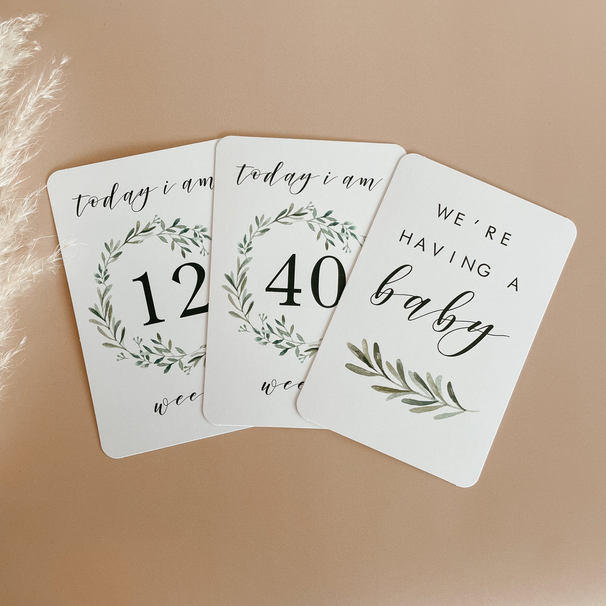 SALE Pregnancy Milestone Cards - Lush Collection