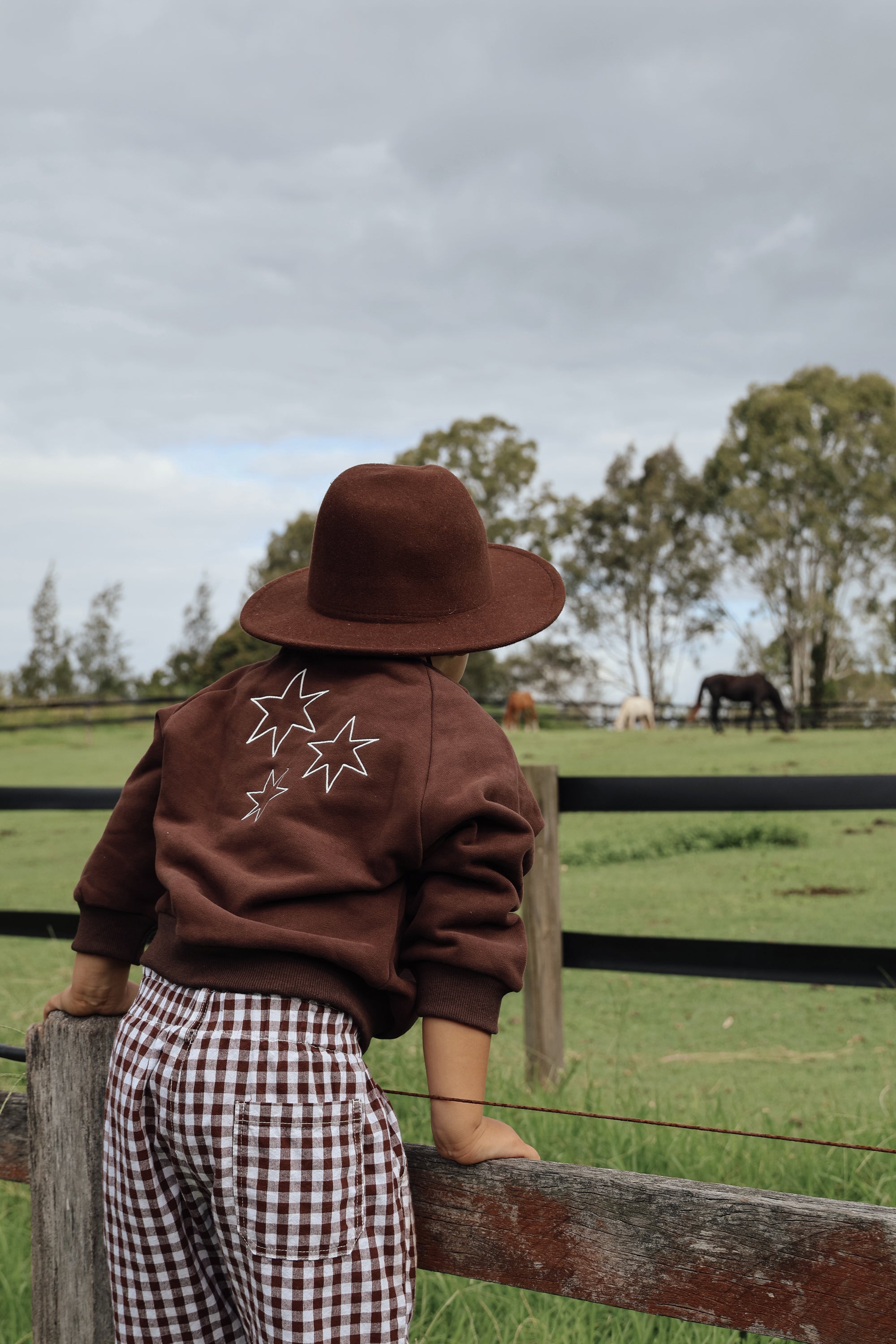 'Hold Your Horses' Crew Sweater - Espresso