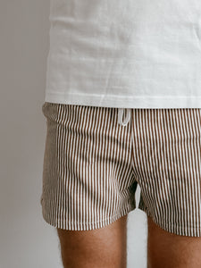 Men's Brown Stripe Shorts