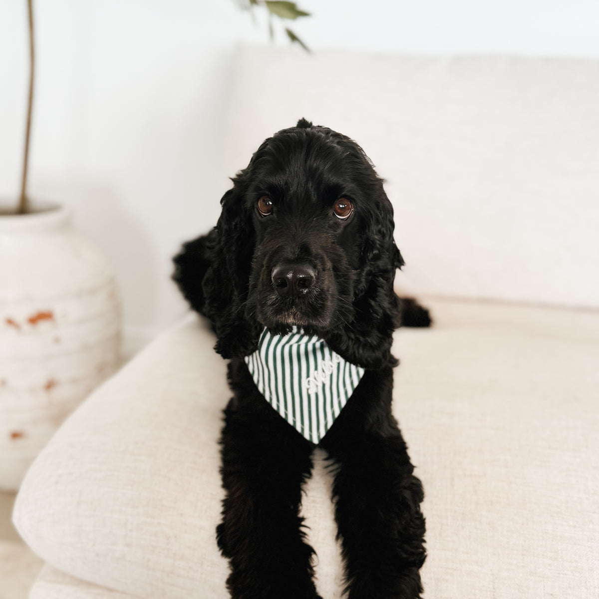Candy Stripe Dog Bandana - Red or Green