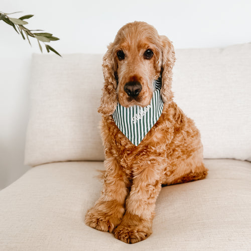 Candy Stripe Dog Bandana - Red or Green
