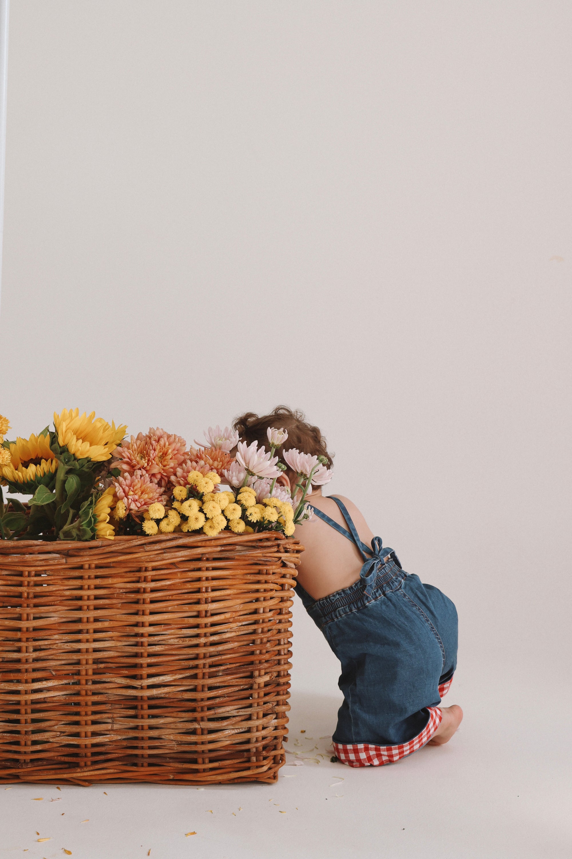 Strawberry Picnic Denim Jumpsuit