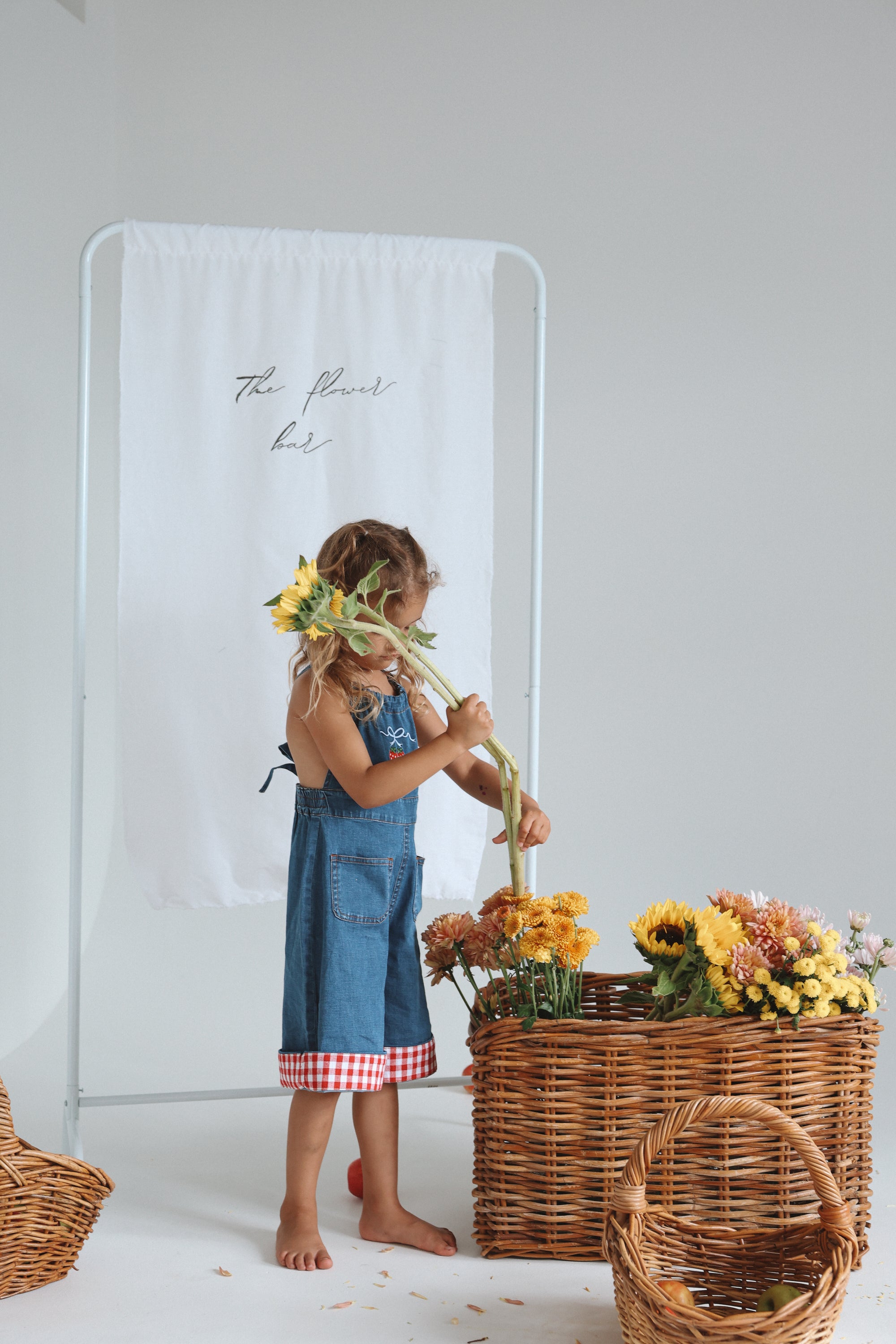 Strawberry Picnic Denim Jumpsuit