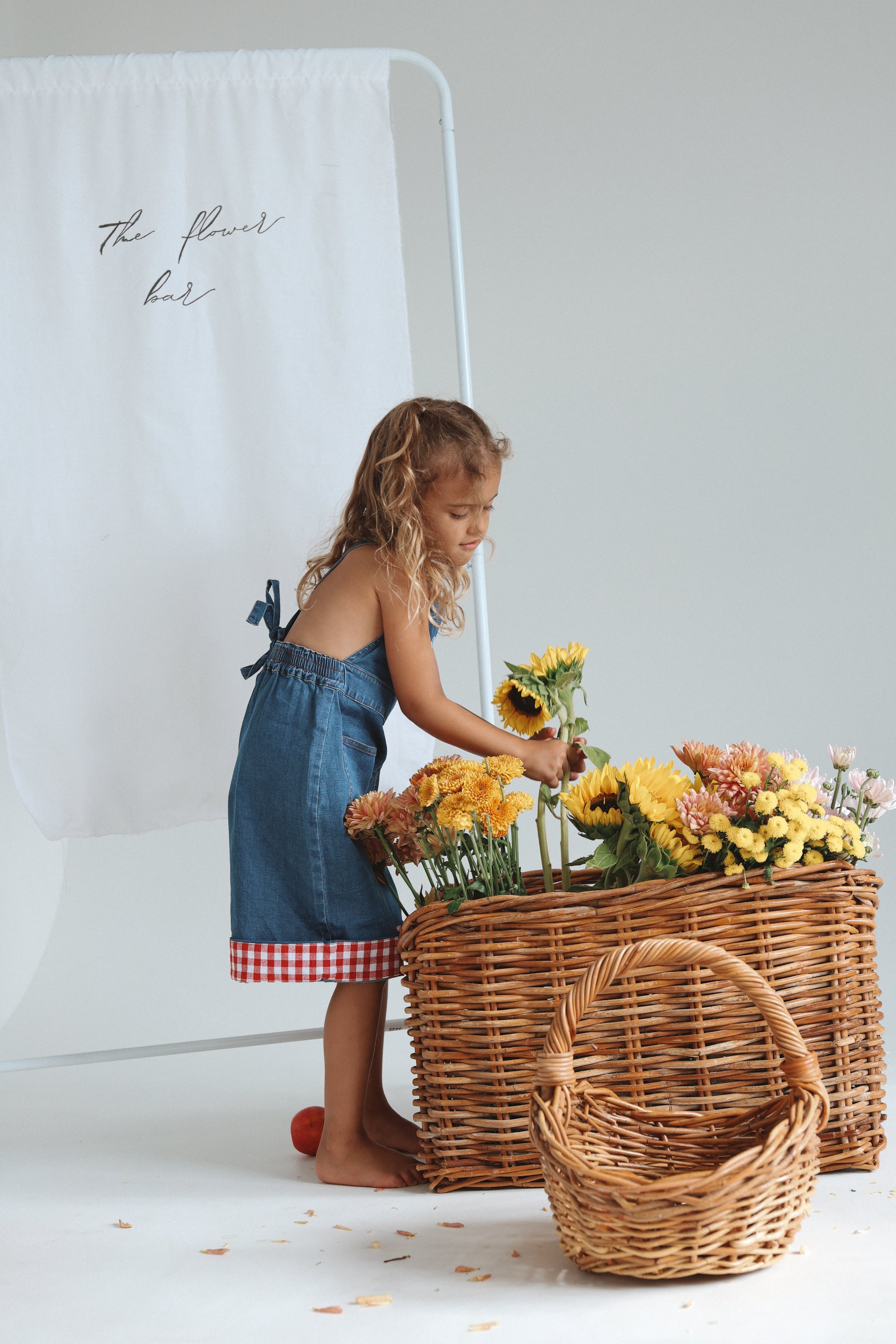 Strawberry Picnic Denim Jumpsuit