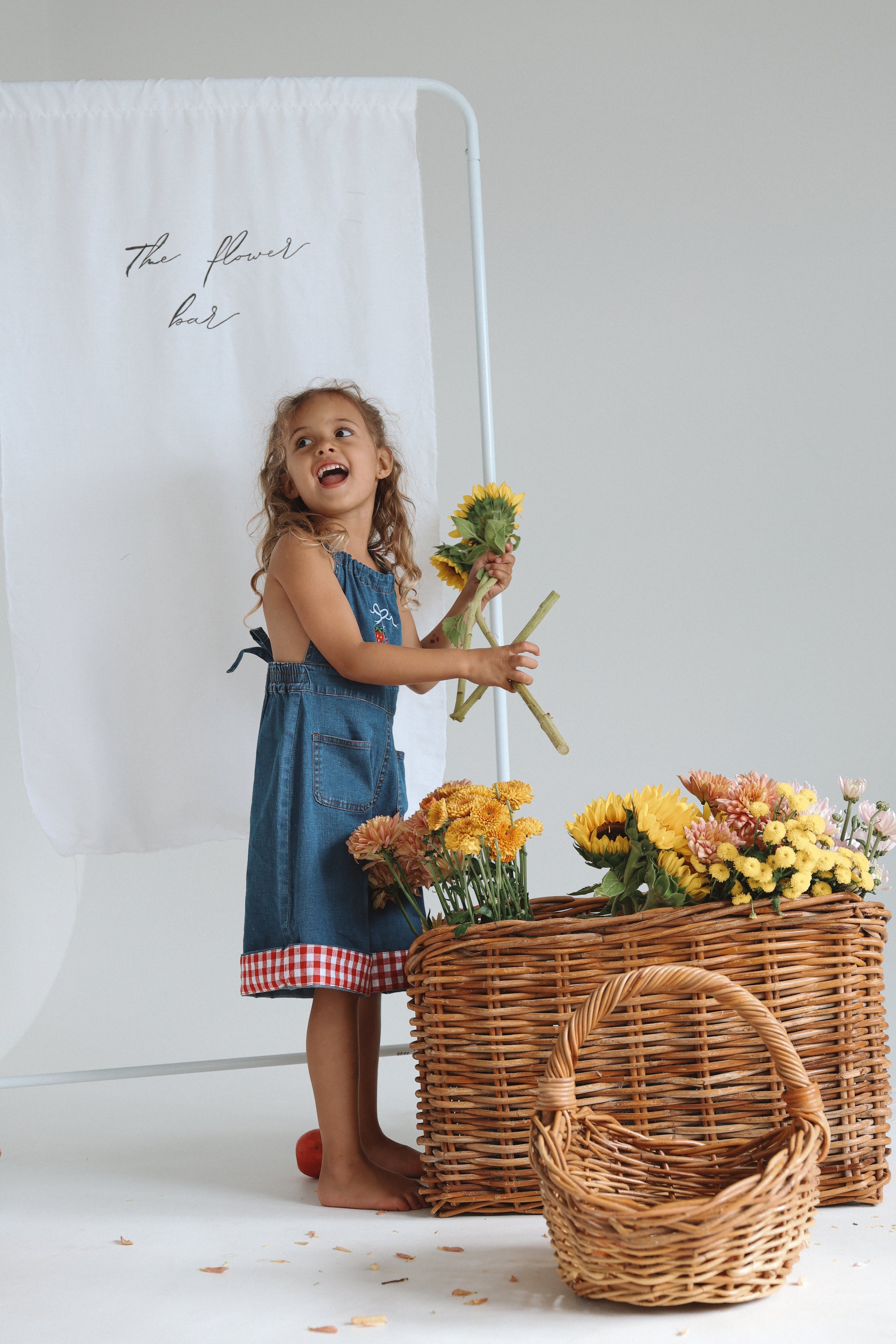 Strawberry Picnic Denim Jumpsuit