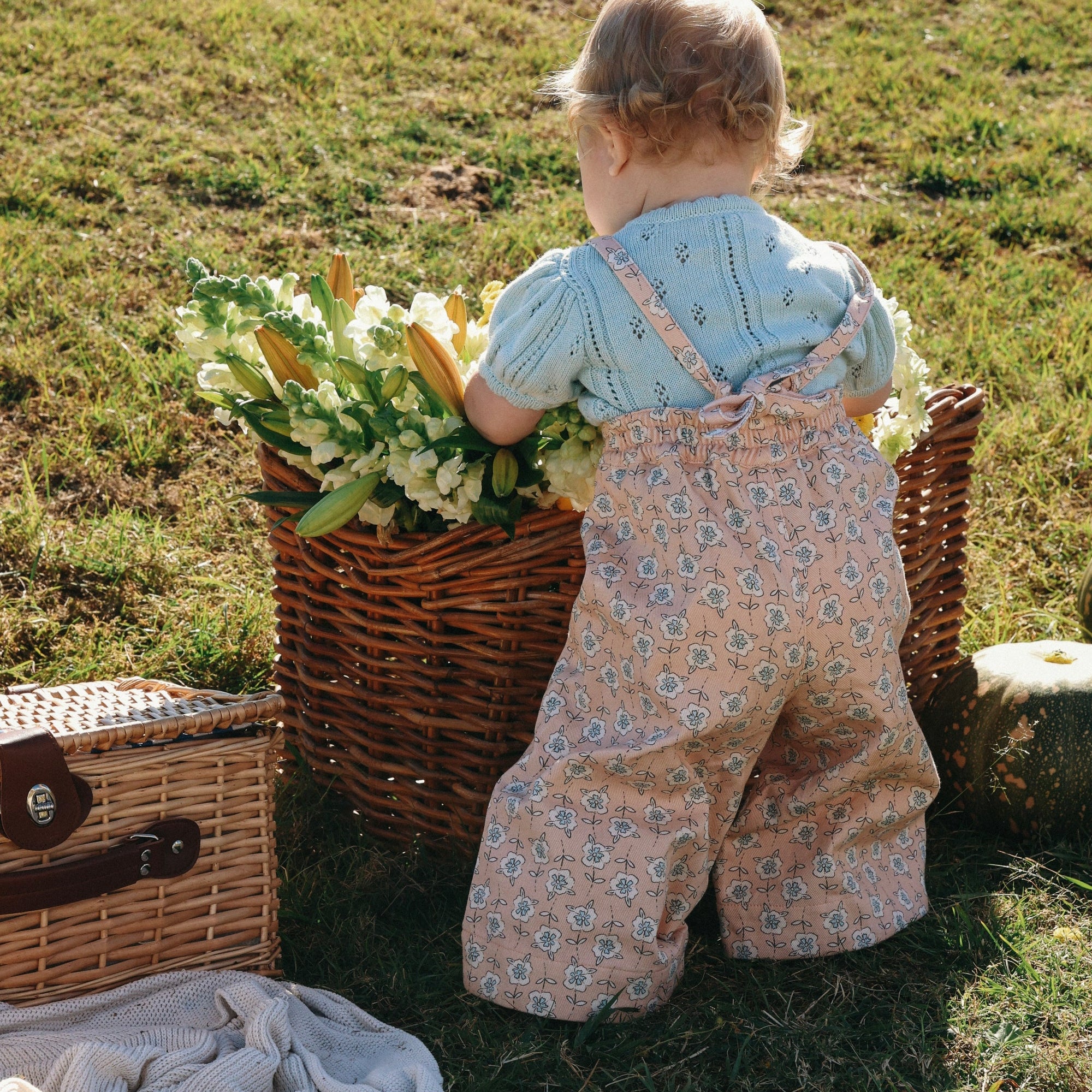 Toddler in a blue pointelle knit top and floral print overalls reaching into a basket of flowers on sunlit grass