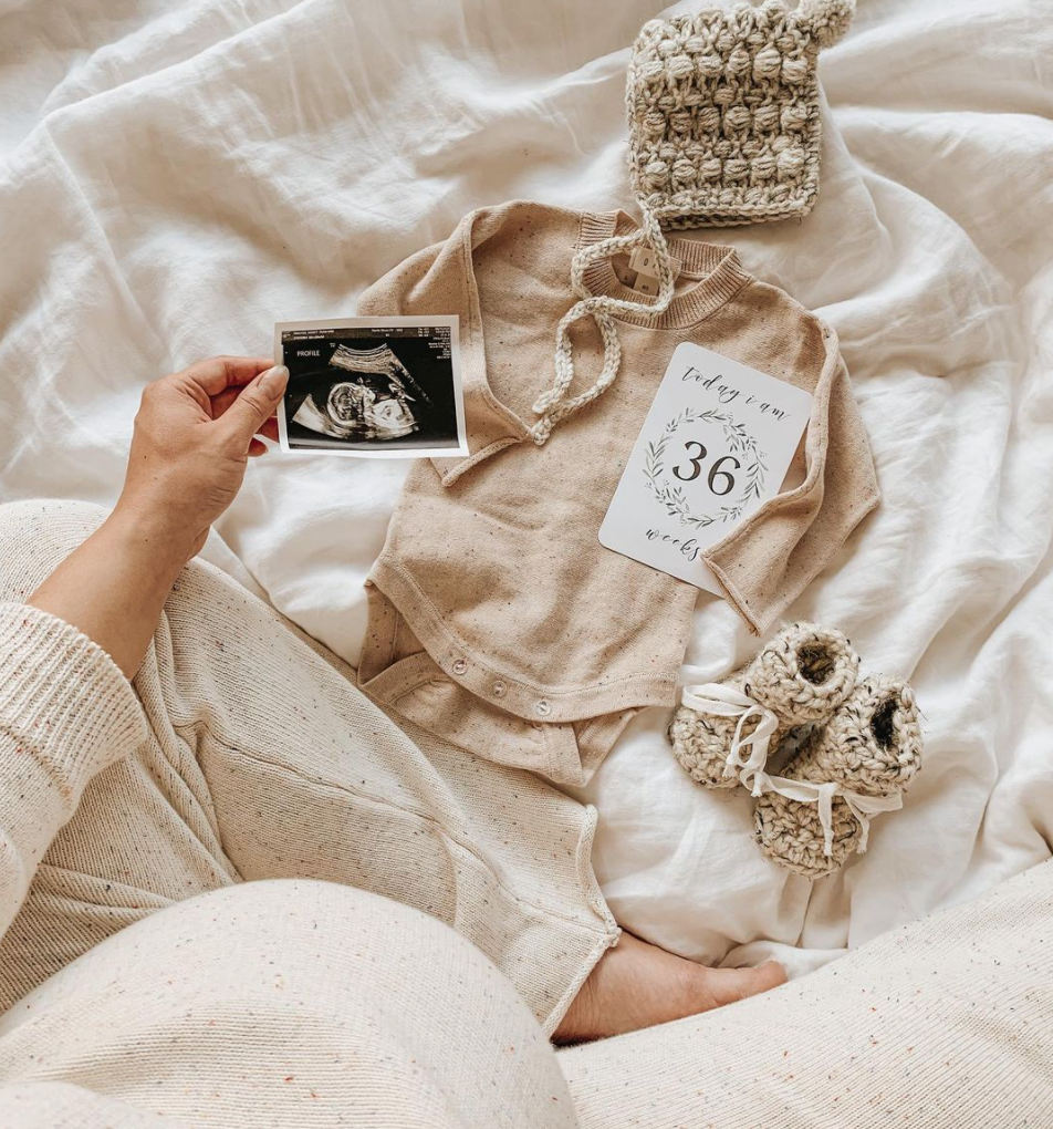 SALE Pregnancy Milestone Cards - Lush Collection