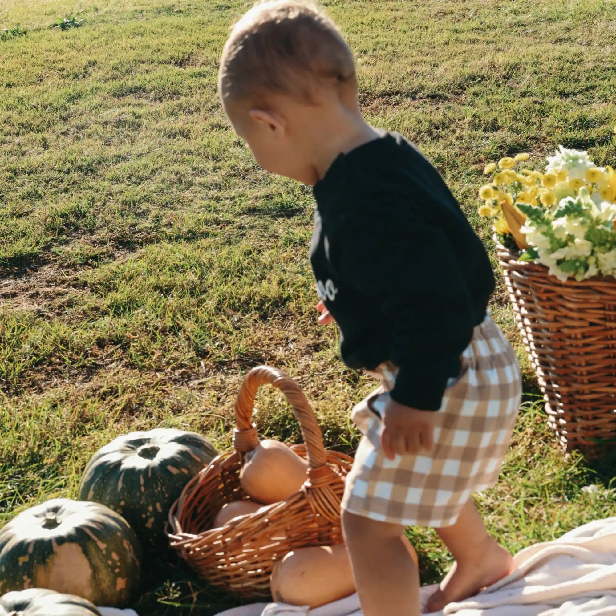 Baby in a black Little Boo sweatshirt and tan gingham shorts beside a basket of pumpkins and flowers