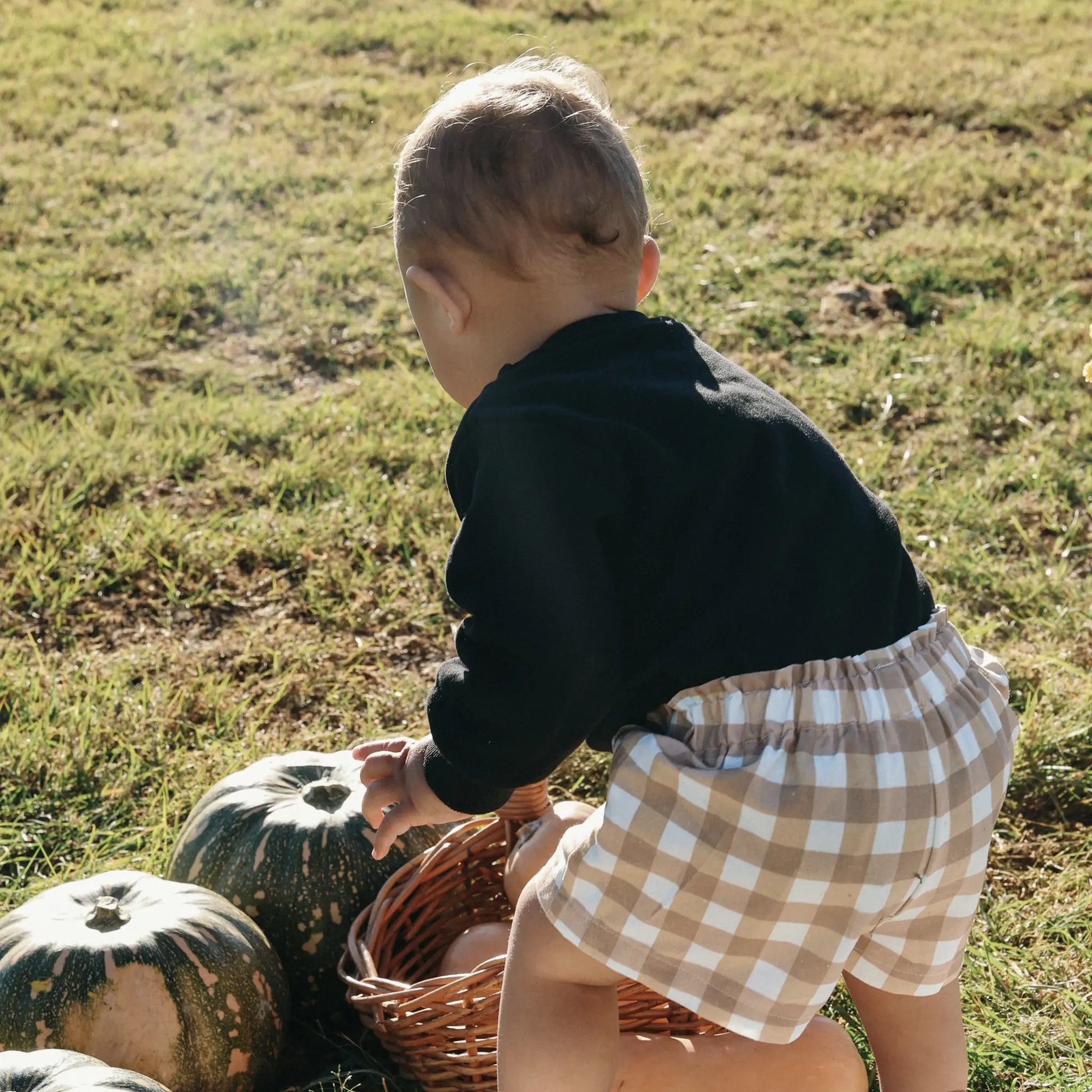 Baby in a black Little Boo sweatshirt and tan gingham shorts crouching beside green pumpkins on grass