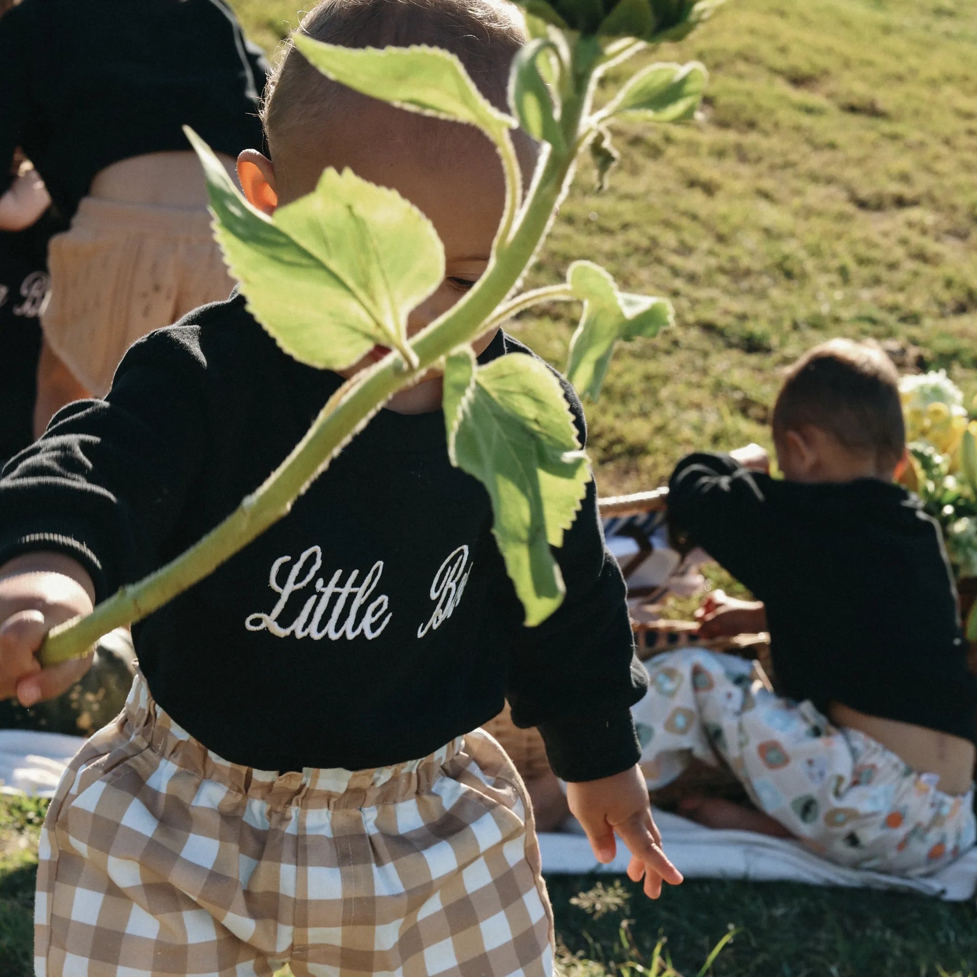 Toddler in a black Little Boo sweatshirt and tan gingham pants holding a sunflower stem