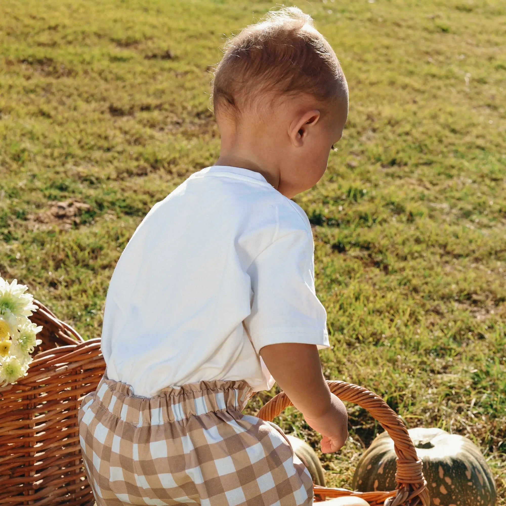 Back view of a baby in a cream tee and tan gingham paperbag shorts beside a basket of pumpkins