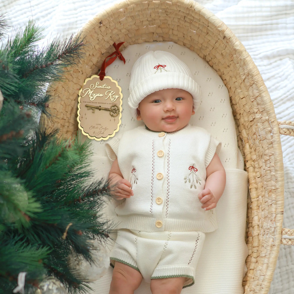 A baby wearing a cream knit hat and matching knit outfit with small embroidered details, lying inside a woven Moses basket. A decorative tag hangs from the hat, and green pine branches frame the left side of the scene.