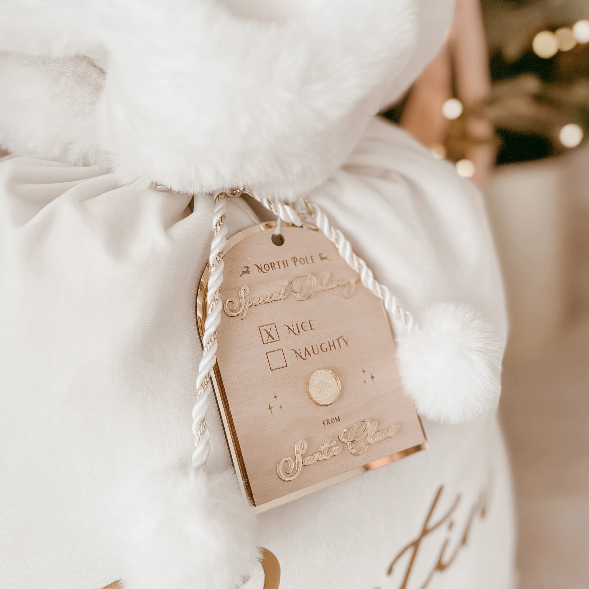 White plush santa sack with a decorative tag on a soft white background "Special Delivery"