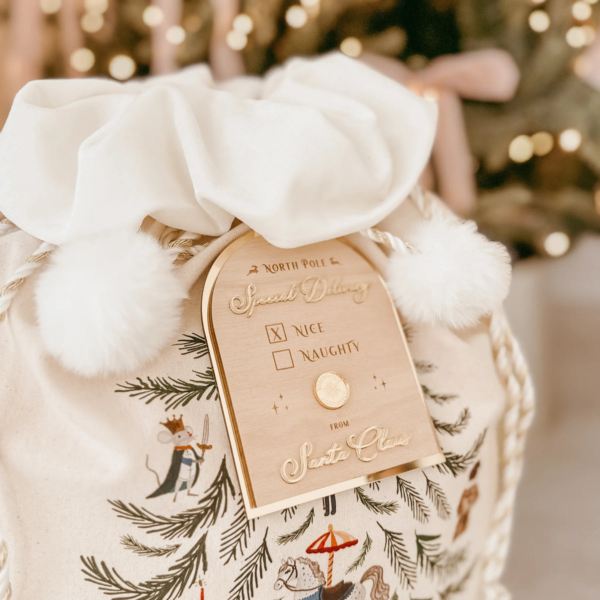 Christ Santa Sack with a decorative tag reading "North Pole Special Delivery"
