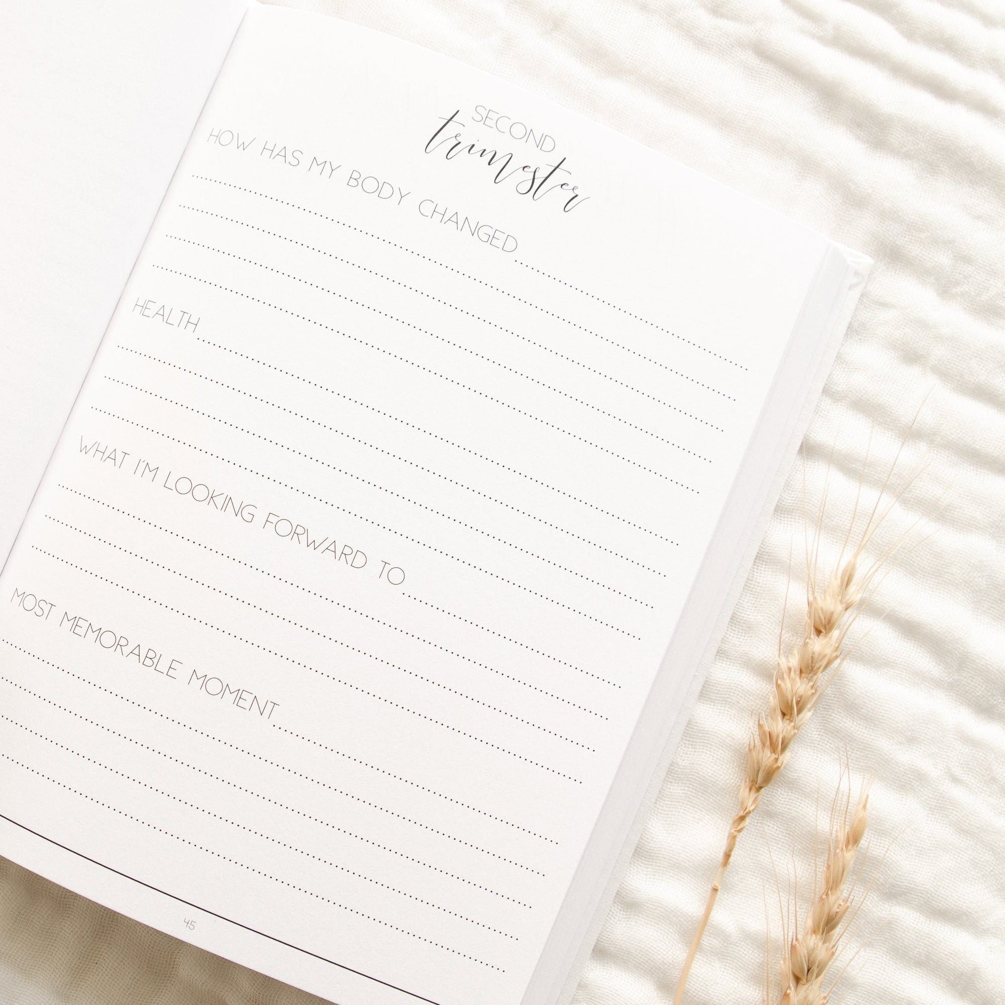 Hello Little Mama - Pregnancy Journal Blossom and Pear 