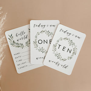 Baby Milestone Cards - Evergreen Collection