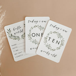 SALE Baby Milestone Cards - Evergreen Collection